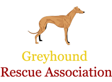 Greyhound Rescue Association